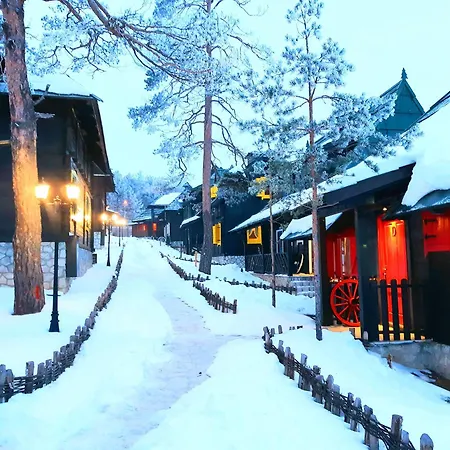 El Paso Zlatibor: Wild West Treehouse Zlatibor